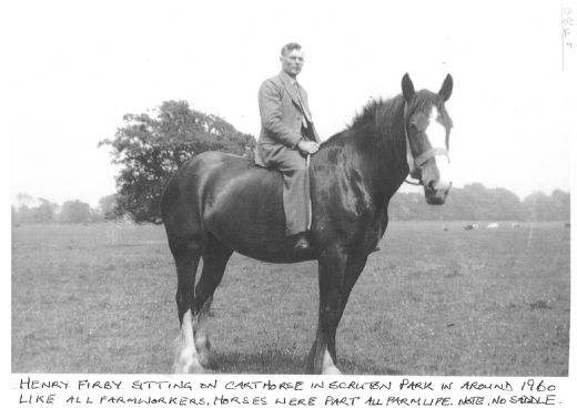 Henry Firby Sitting on Cart Horse